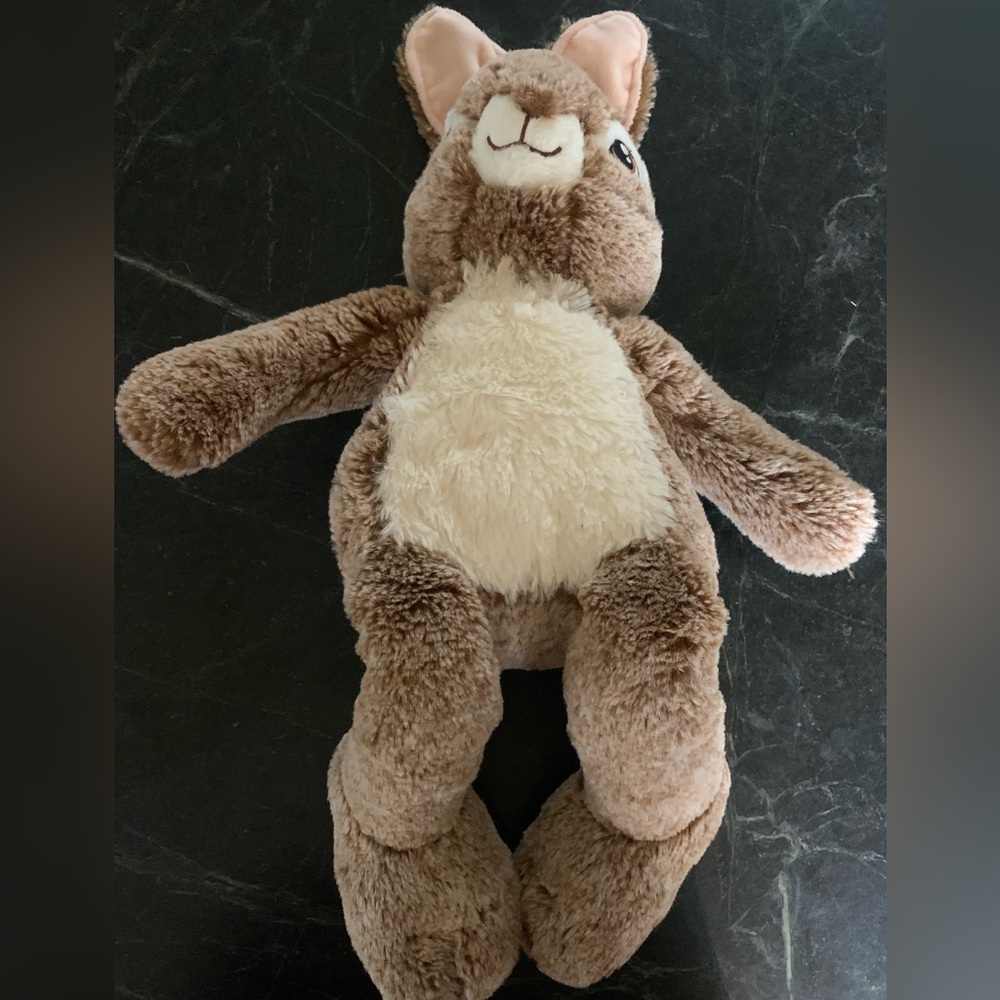 DAN DEE  | Peter Rabbit Stuffed Plush Bunny Rabbit